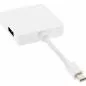 Preview: InLine® Mini DisplayPort zu HDMI DVI DisplayPort Adapterkabel weiß Preview: InLine® Mini DisplayPort zu HDMI DVI DisplayPort Adapterkabel weiß