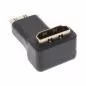 Preview: InLine® HDMI Adapter HDMI A Buchse auf Mini HDMI C Stecker gewinkelt 4K2K kompatibel vergoldete Kontakte Preview: InLine® HDMI Adapter HDMI A Buchse auf Mini HDMI C Stecker gewinkelt 4K2K kompatibel vergoldete Kontakte