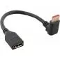 Preview: InLine® DisplayPort 1.4 Adapterkabel ST/BU 8K4K nach unten gewinkelt schwarz/gold 0,15m Preview: InLine® DisplayPort 1.4 Adapterkabel ST/BU 8K4K nach unten gewinkelt schwarz/gold 0,15m