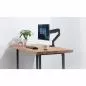 Preview: InLine® Tischhalterung mit Lifter und USB/Audio beweglich für Monitore bis 82cm (32") max. 9kg