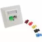 Preview: InLine® Staubschutz für RJ45 Buchse Farbe: grün 10er Blister Preview: InLine® Staubschutz für RJ45 Buchse Farbe: grün 10er Blister