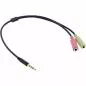 Preview: InLine® Audio Headset Adapterkabel 3,5mm Klinke Stecker 4pol. an 2x 3,5mm Klinke Buchse 0,25m