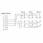 Preview: TAE Adapterkabel – RJ45 Stecker auf TAE NFN Dose, 20cm Preview: TAE Adapterkabel – RJ45 Stecker auf TAE NFN Dose, 20cm