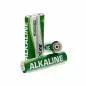Preview: InLine® Alkaline High Energy Batterie Micro (AAA) 100er Pack