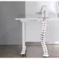 Preview: Flexibler Kabelkanal mit Tischbefestigung – 2-Kammer-System – bis 0,80 m – weiß Preview: Flexibler Kabelkanal mit Tischbefestigung – 2-Kammer-System – bis 0,80 m – weiß