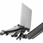 Preview: InLine® Notebook-Halterung bis 17" mit VESA 75/100 Montageplatte
