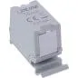 Preview: Cat.6A RJ45 Doppelkupplung für Hutschiene – 10G-tauglich, geschirmt