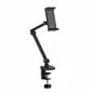 Preview: InLine® Tablet Halter mit Tischklemme, bis 12,9", schwarz