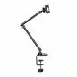 Preview: InLine® Tablet Halter mit Tischklemme, bis 12,9", schwarz