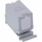 Preview: Cat.6A RJ45 Doppelkupplung für Hutschiene – 10G-tauglich, geschirmt Preview: Cat.6A RJ45 Doppelkupplung für Hutschiene – 10G-tauglich, geschirmt