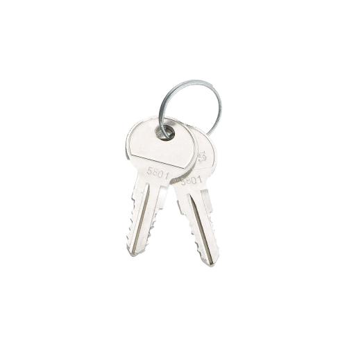 Standard-Ersatzschlüssel für Triton Stand- und Wandverteiler – 2er Set – RAX-MS-X10-X1