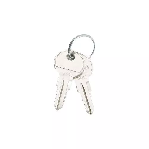 Standard-Ersatzschlüssel für Triton Stand- und Wandverteiler – 2er Set – RAX-MS-X10-X1