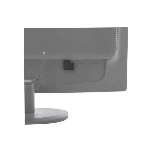 InLine® DisplayPort Adapter DisplayPort Stecker Buchse rechts gewinkelt
