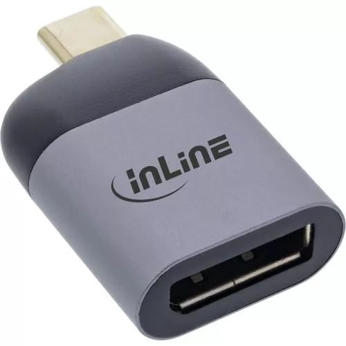 InLine® USB Display Konverter USB Typ-C Stecker zu DisplayPort Buchse (DP Alt Mode) 8K@60Hz