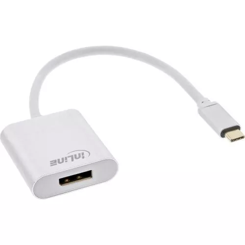 InLine® USB Display Konverter USB Typ-C Stecker zu DisplayPort Buchse (DP Alt Mode) 4K2K silber 0.2m