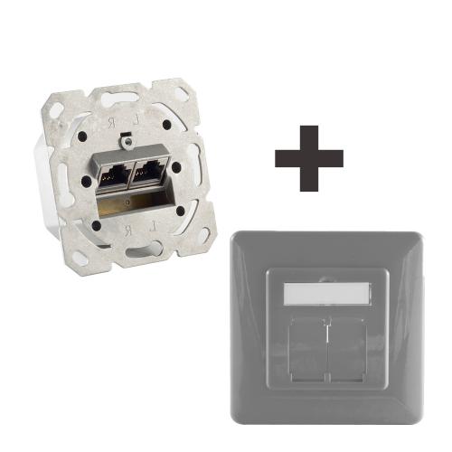 Netzwerkdose Cat.6A Unterputz 2-fach, vollgeschirmt, LSA, horizontale Kabelführung, inkl. Zentralstück & Abdeckrahmen, Silber/Grau