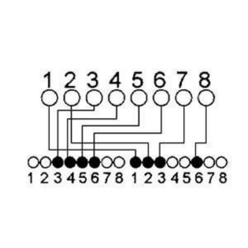 Preview: RJ45 Y-Adapter Cat.5e – Telefon/Ethernet, 2× Buchse, 0,1 m, geschirmt