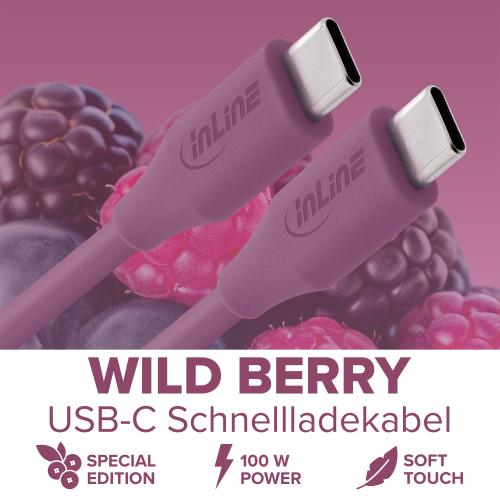 Preview: USB-C Schnellladekabel – 100W – Silikon – Wild Berry (lila)