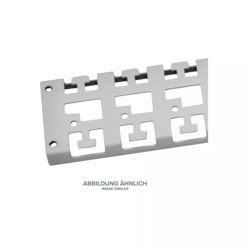 Triton RAC-VP-D51-X1 Kabelführungspanel für 800mm tiefen Schrank, grau