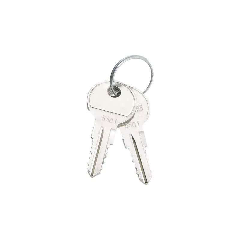Standard-Ersatzschlüssel für Triton Stand- und Wandverteiler – 2er Set – RAX-MS-X10-X1