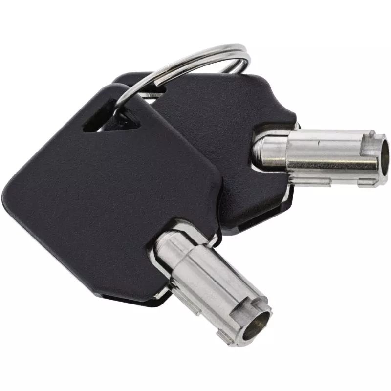 InLine® Notebook Sicherheitsschloss mit Schlüssel 4,4mm x 2m