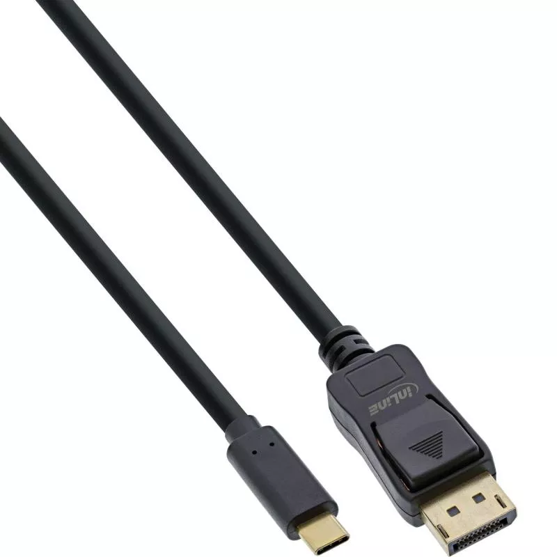 USB-C auf DisplayPort Kabel 4K 60Hz, DP Alt Mode