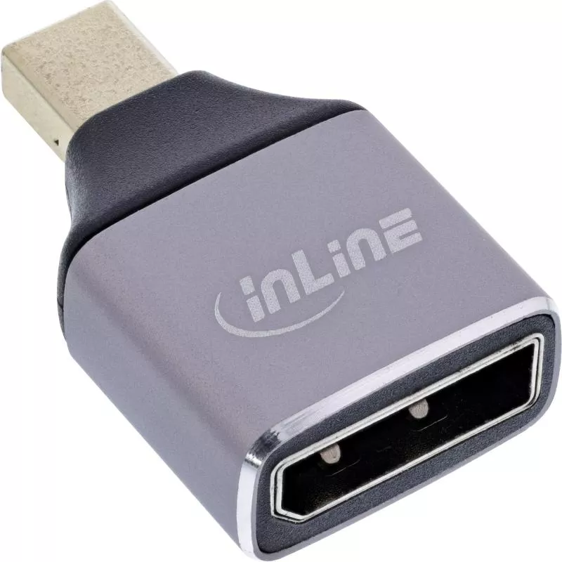 DisplayPort 1.4 Adapter – DP Buchse auf Mini DisplayPort Stecker, 8K UHD