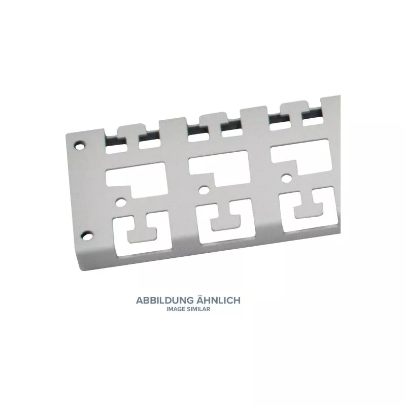 Triton RAC-VP-D50-X1 Kabelführungspanel für 600mm tiefen Schrank, grau