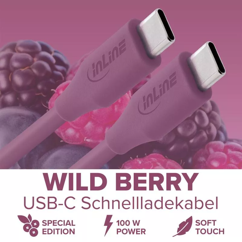 USB-C Schnellladekabel – 100W – Silikon – Wild Berry (lila) USB-C Schnellladekabel – 100W – Silikon – Wild Berry (lila)