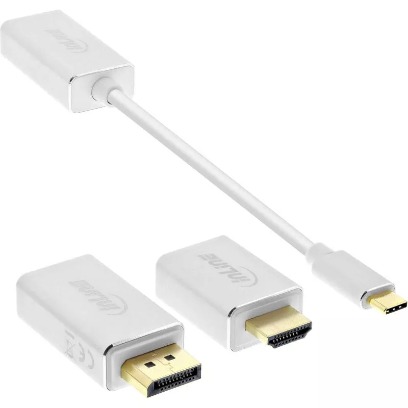 InLine® USB Display Konverter Set 6-in-1 USB Typ-C Stecker zu DisplayPort Buchse HDMI VGA (DP Alt Mode) 4K2K silber 0,2m